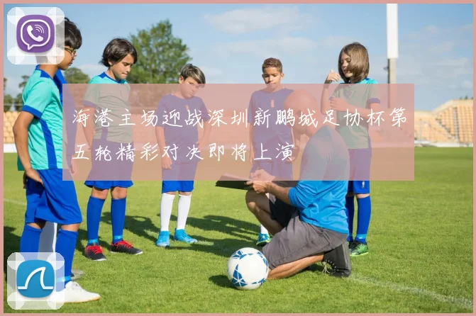 海港主场迎战深圳新鹏城足协杯第五轮精彩对决即将上演